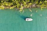 An aerial shot of a boat as it makes its way through blue water next to a line of mangroves. 