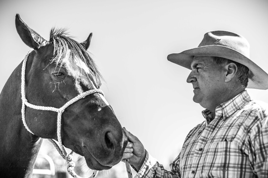 Gerald O'Brien looks at a horse.