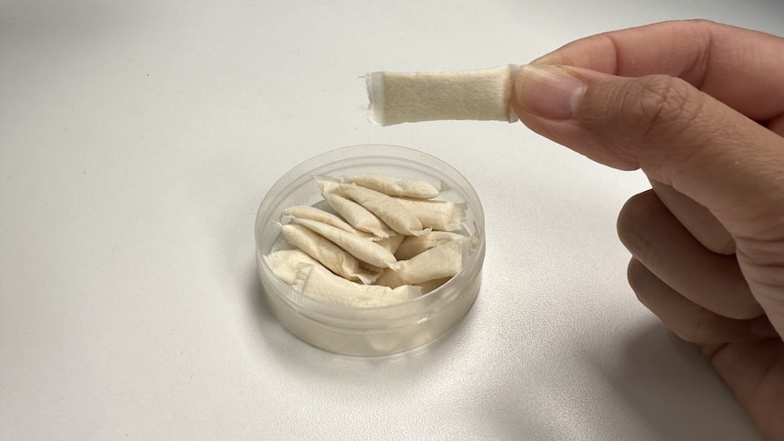 What are nicotine pouches? Are they safe to use, and why has the government banned them? - <a class='entities-links' href='/entity/3768625371/abc-news/ar/1?utm_term=PublicFigures-abc-news&utm_source=Lebanon24-Frontend&utm_campaign=PublicFigures&utm_medium=PublicFigures-abc-news&id=436767&catid=0&pagetype=PublicFigures' loading=