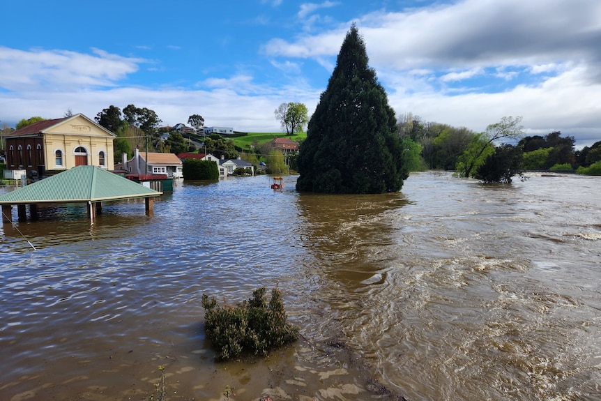 Floodwaters have inundated a park in Deloraine.