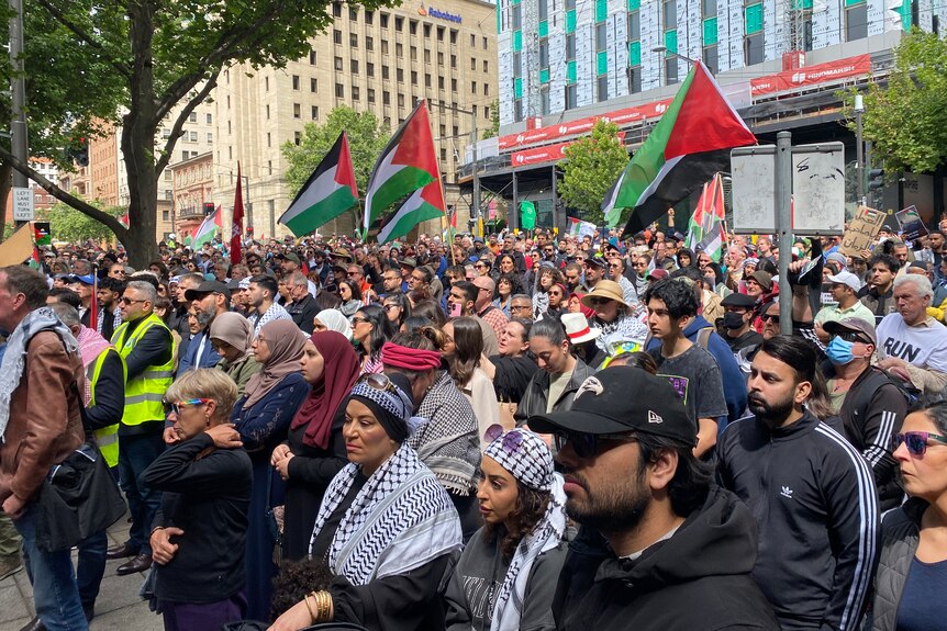 pro-palestinian supporters rally in adelaide's city centre in support of events in gaza