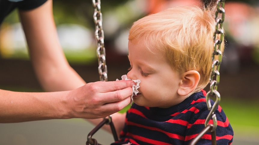 A young child gets their nose blown. 