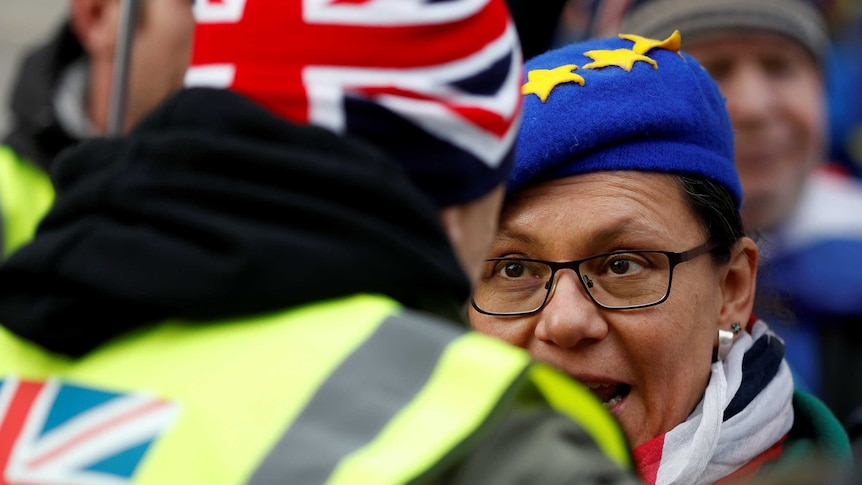 Pro-Brexit and anti-Brexit demonstrators argue with each other outside the Houses of Parliament.