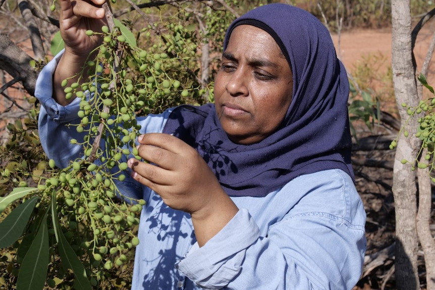 A woman holds a brand of green plums.