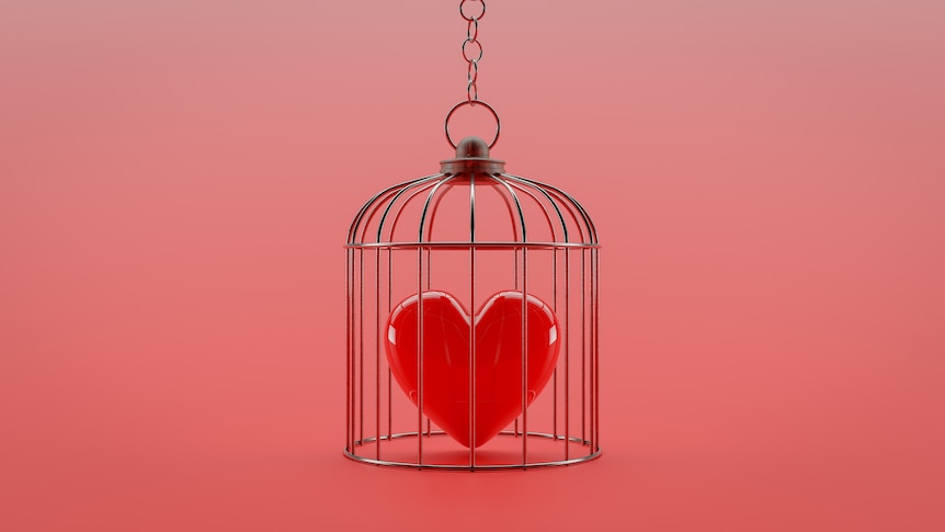 Heart is locked in a cage, to depict the concept of jealousy and love.