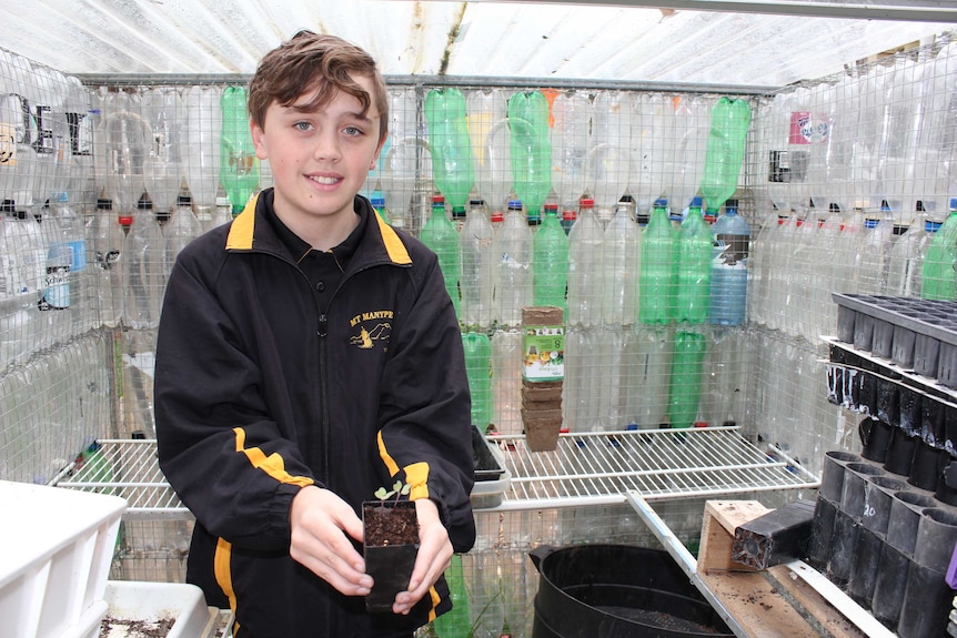 A boy holding a seedling in a greenhouse made from plastic bottles