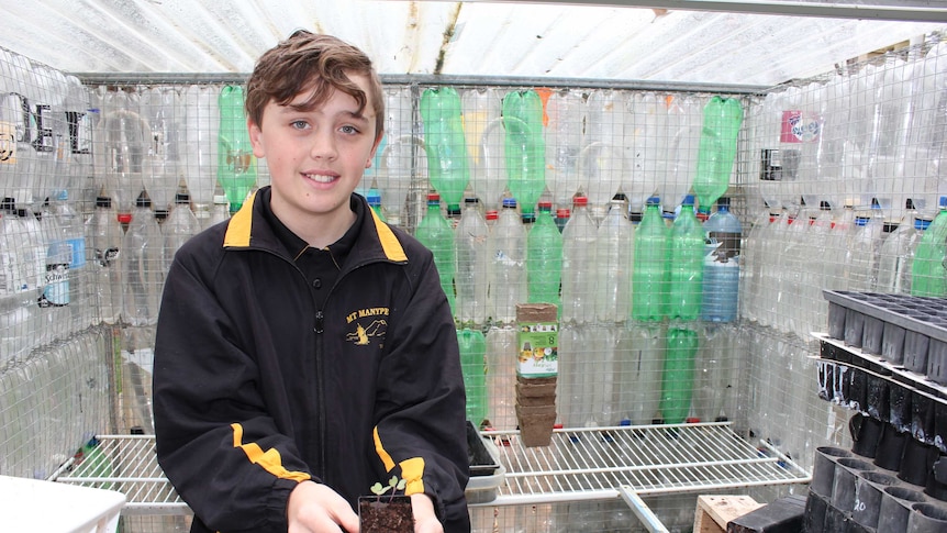 A boy holding a seedling in a greenhouse made from plastic bottles