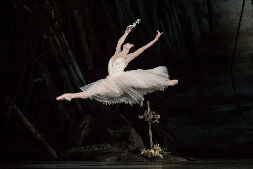 Ballet dancer Natalia Osipova leaps during her performance in Giselle.