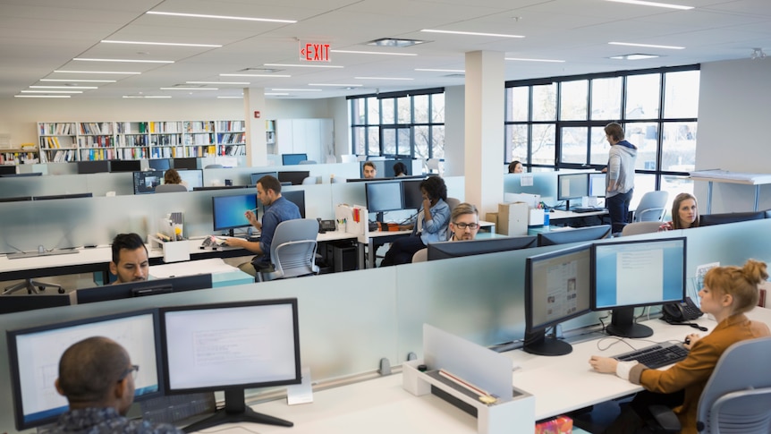 A view of an office with employees sitting at their desk