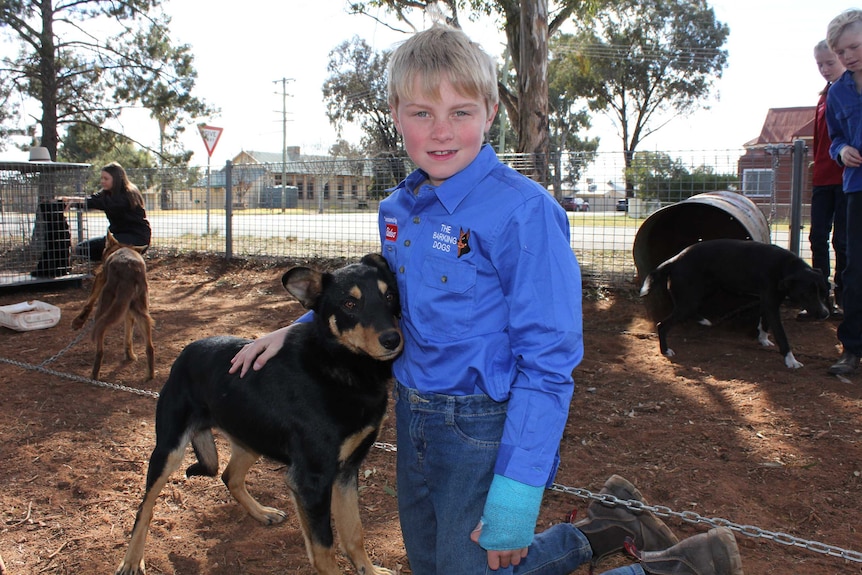 Tom Writer with his Kelpie pup Bud.