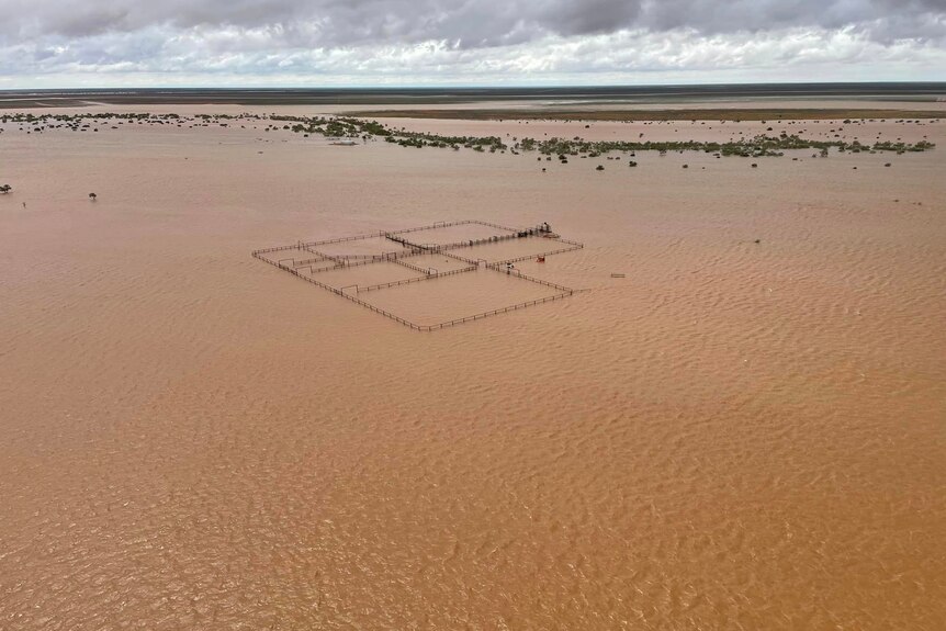 an aerial photo of floodwaters over a set of cattle yards.