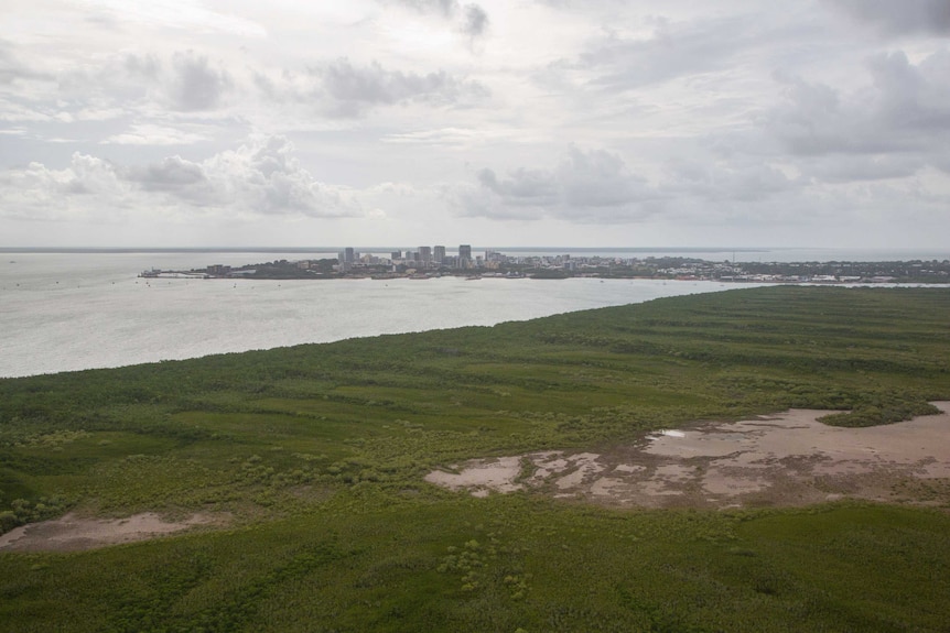 Endangered curlew habitats near Darwin