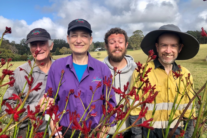 Smiling people stand behind a row of colourful red kangaroo paw plants.