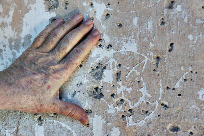 Close up of hexafoil markings on wall in Tasmanian building.