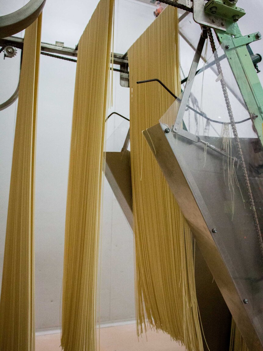 Noodles being cut at the Hakubaku factory in Ballarat.
