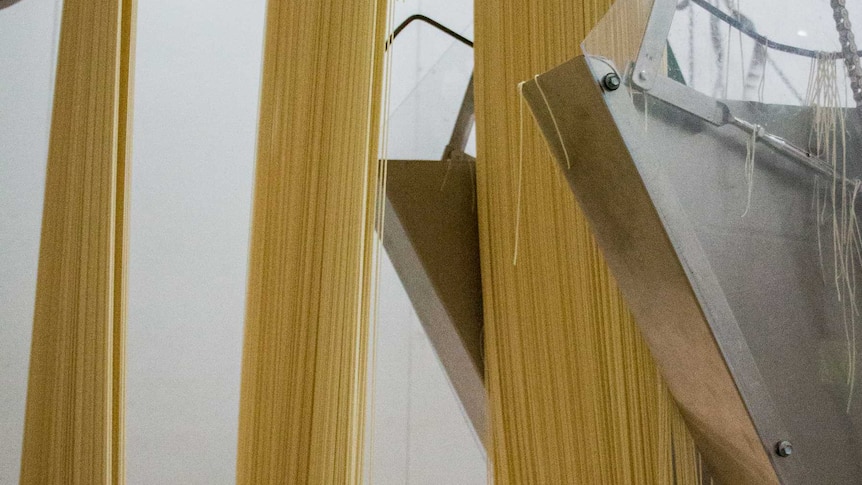 Noodles being cut at the Hakubaku factory in Ballarat.