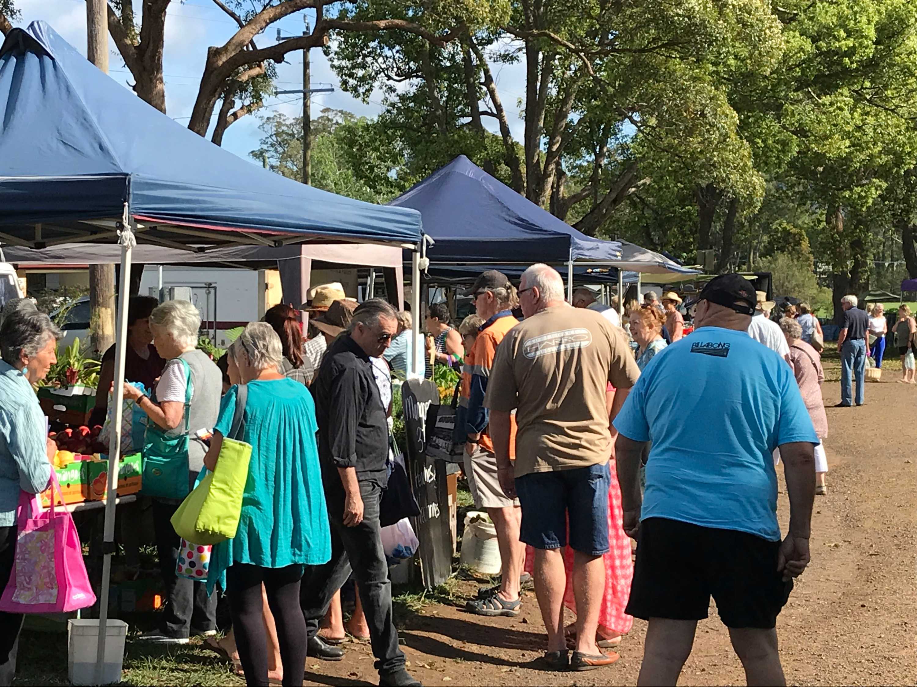 Community backs Nabiac saleyard on NSW Mid North Coast resulting in