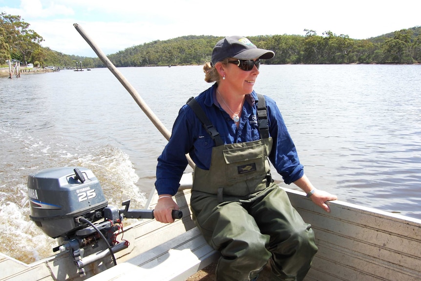 Pambula oyster farmer Sue McIntyre says the rainfall coincides with the busiest time of year for the industry. (8 January 2016)