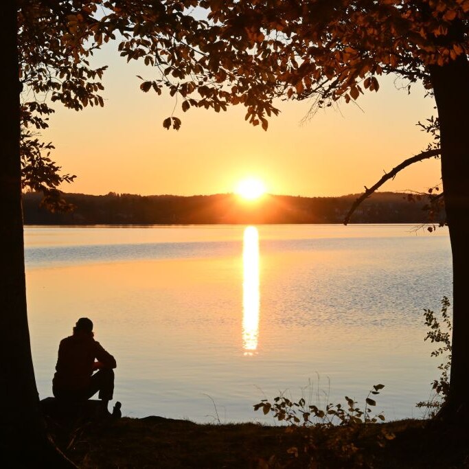 Loneliness img