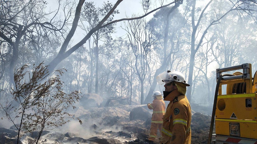 Firefighters have been working around the clock to contain the blazes.