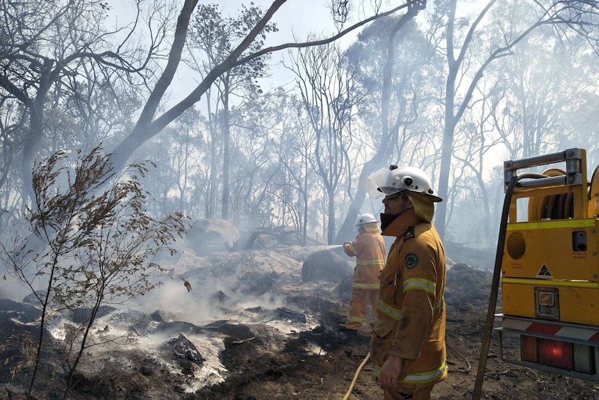 Firefighters have been working around the clock to contain the blazes.