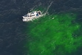 A police boat searches in the ocean, from above.