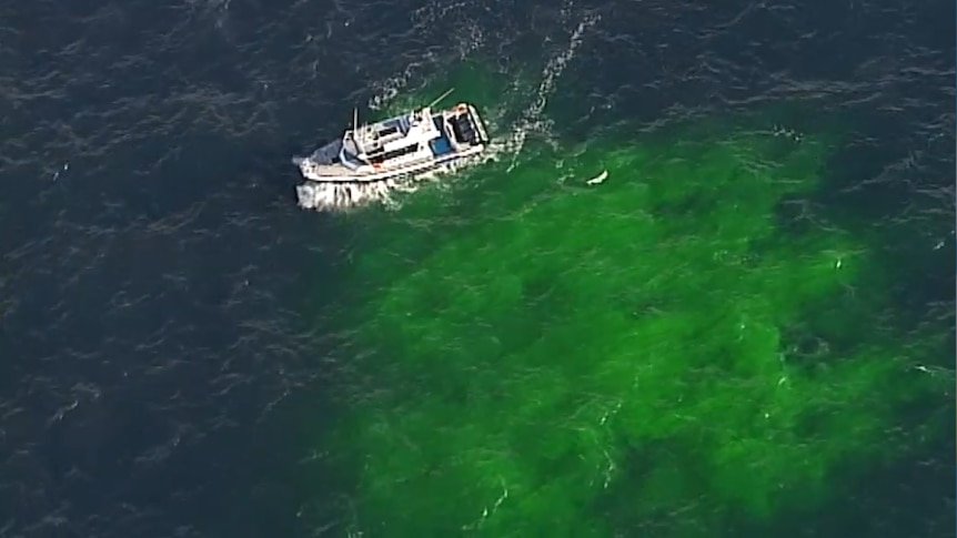 A police boat searches in the ocean, from above.