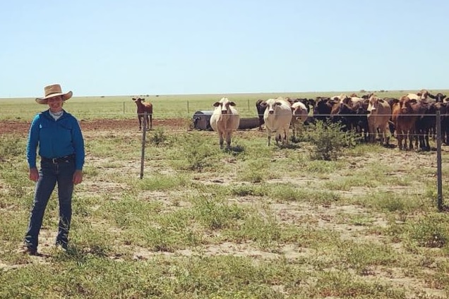 Woman dressed in farmer atire of jeans, button up blue workshirt and cowgirl hat stands in front of paddock of cows with blue sk