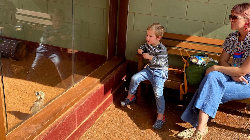 A young boy and woman view a meerkat in a zoo enclosure.