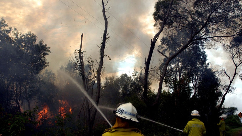 Qld firefighters battle bushfires