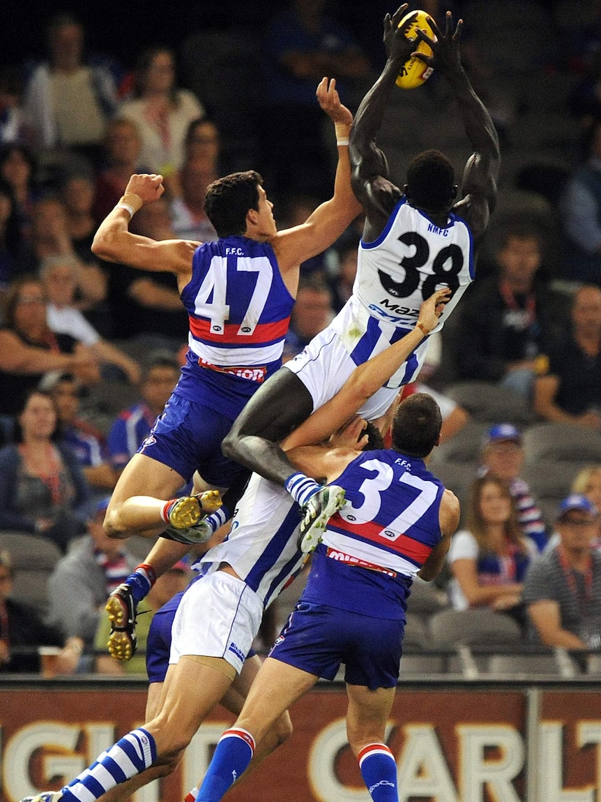 Daw flies high over Bulldogs