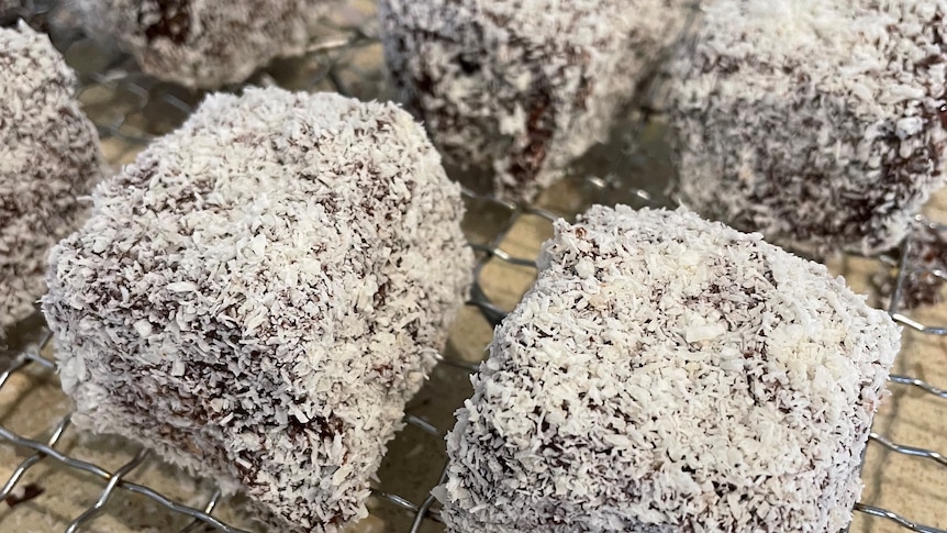 You view a cluster of lamingtons sitting atop a wire tray with dessicated coconut dust on a bench.