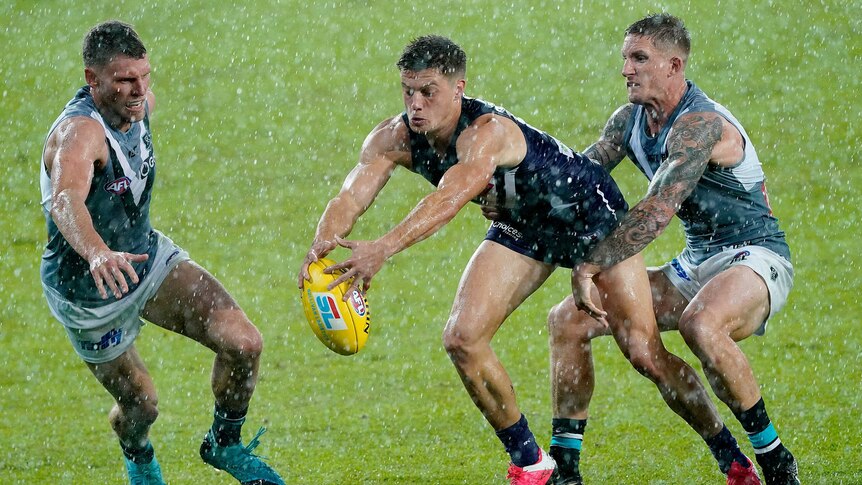 An AFL player grabs the ball between two defenders as the rain pelts down.