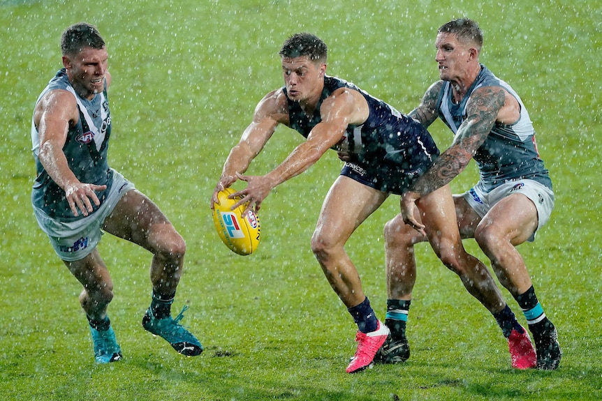 An AFL player grabs the ball between two defenders as the rain pelts down.
