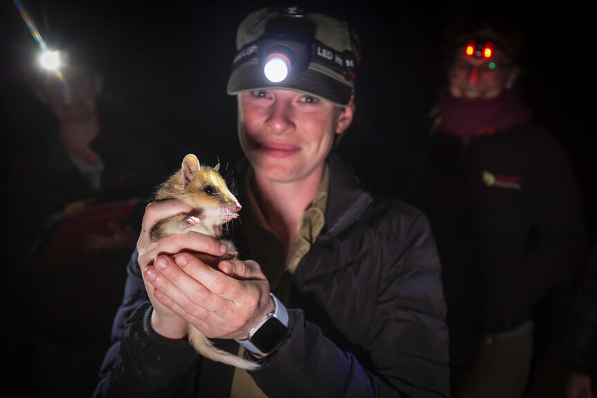 Belinda Wilson with a quoll