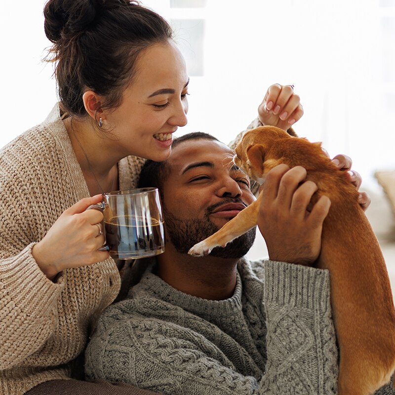 A couple happily play with a puppy