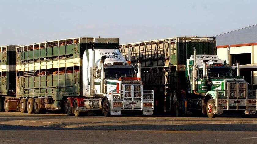 Two road trains wait at a petrol station