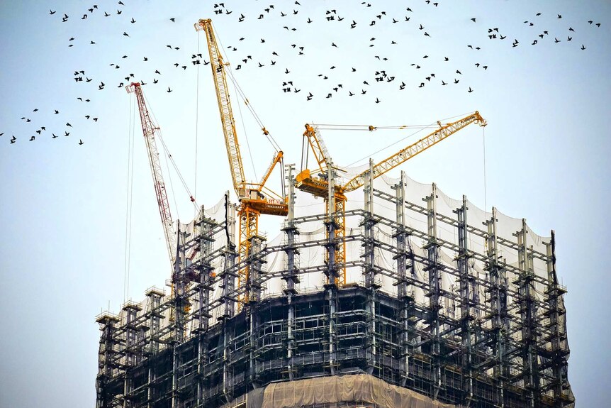 Building construction site cranes