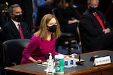 Amy Coney Barrett, wearing a black face mask and a pink dress, sits down at a hearing room desk covered in disinfectant bottles.