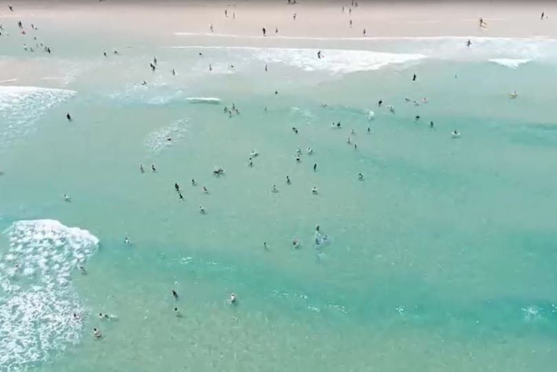 Beach from the air looking down at swimmers and clear water, it's the view that surf lifesavers can see from the drone.
