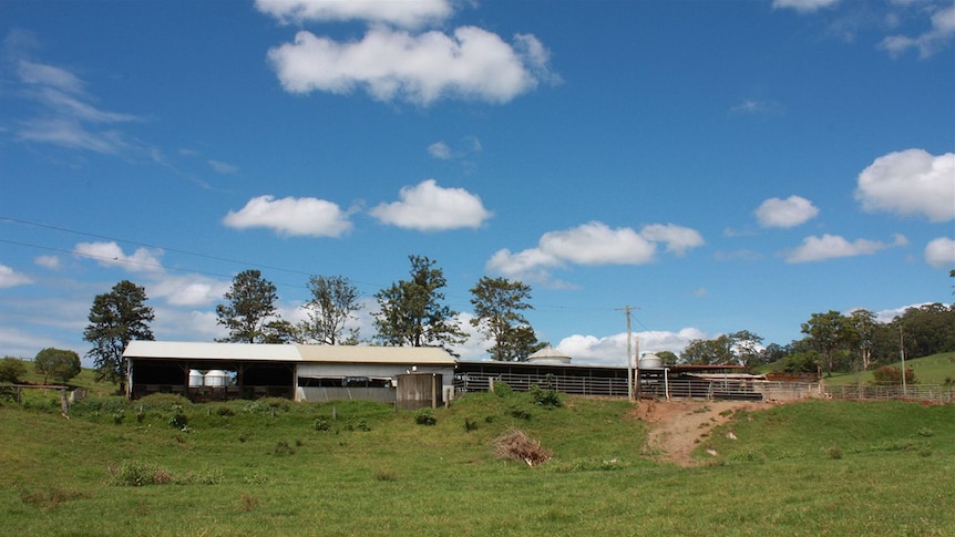 The Cowan dairy farm at Hannam Vale in the Manning Valley.
