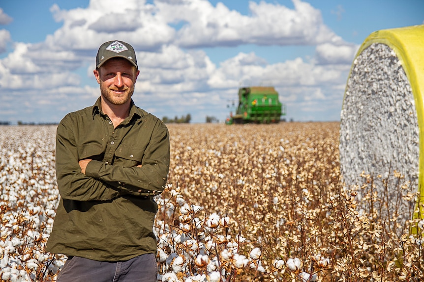 Cotton grower Grant Porter stands in a crop as a picker operates behind him.