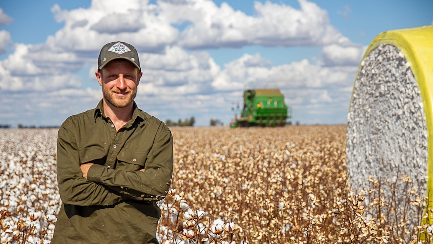 A young farmer stands in a cotton field with his arms crossed.