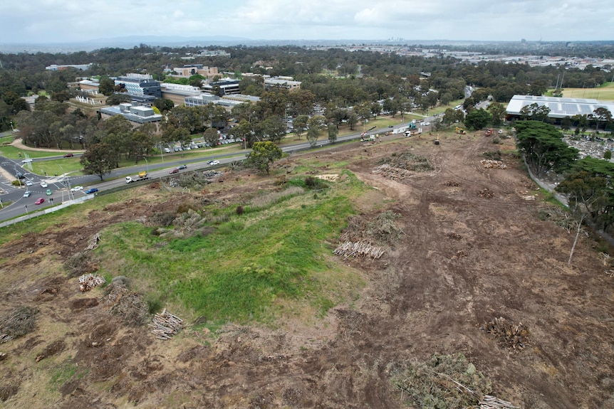 Aerial photo of land to be cleared for a solar farm
