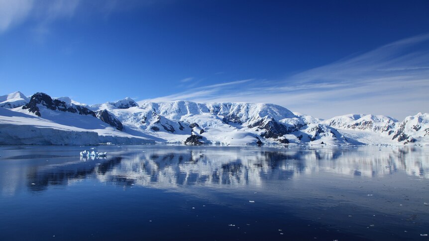 Paradise Harbour in Antarctica