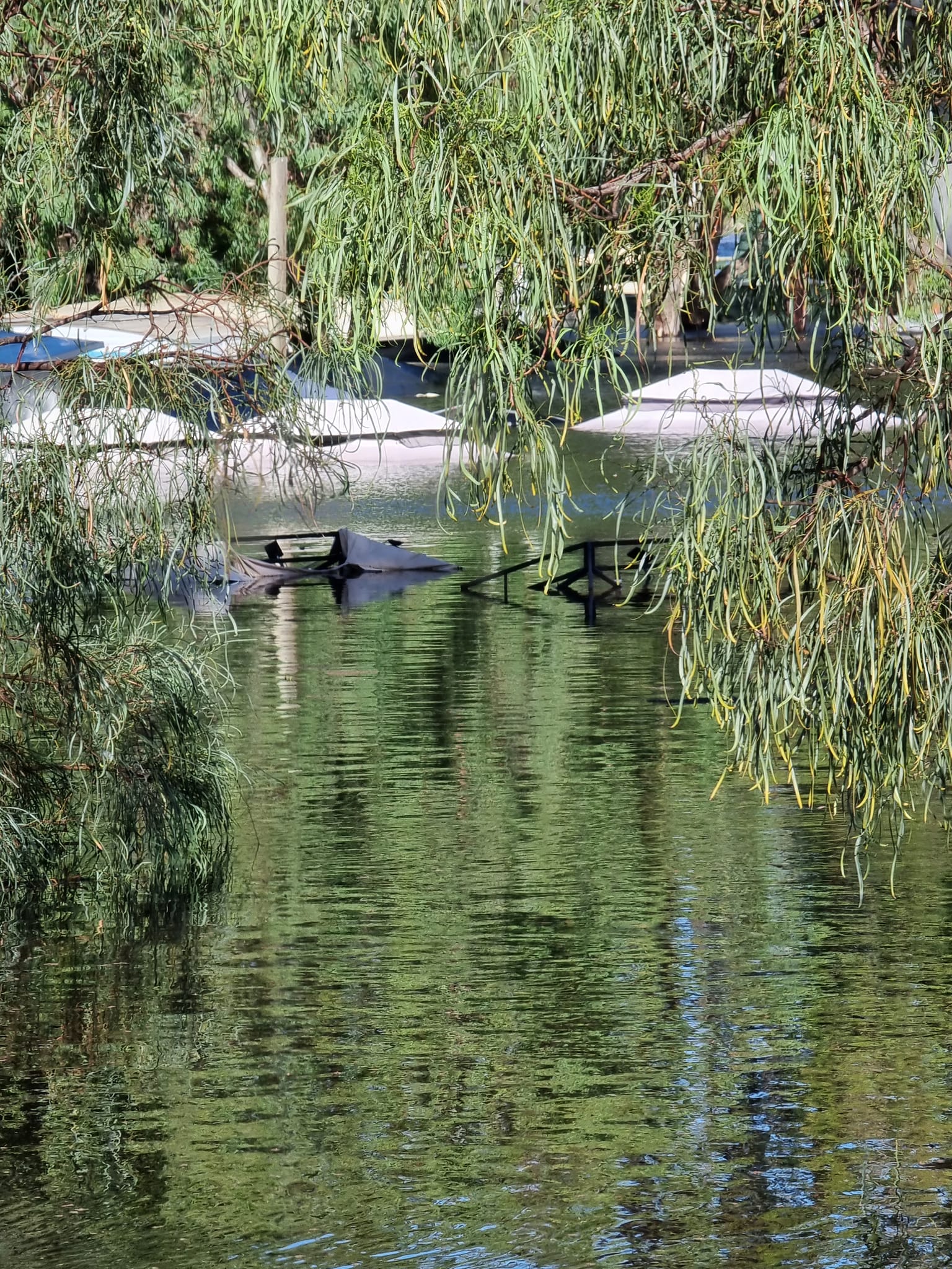 'Just get out': Warning from Murraylands caravan park manager after property suddenly flooded