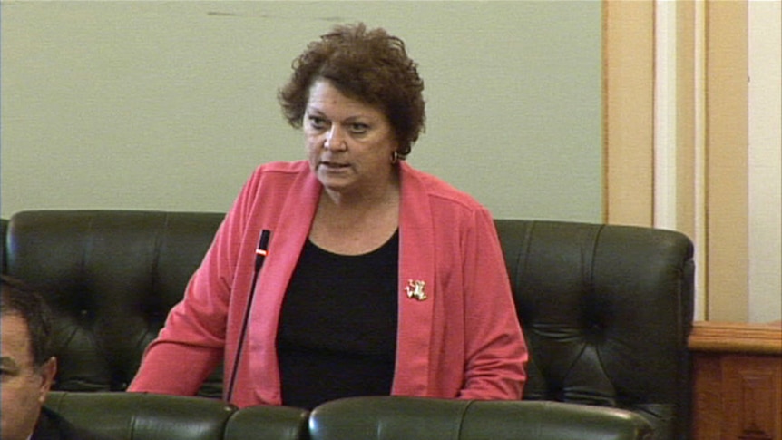 Qld independent MP and PCMC chair Liz Cunningham