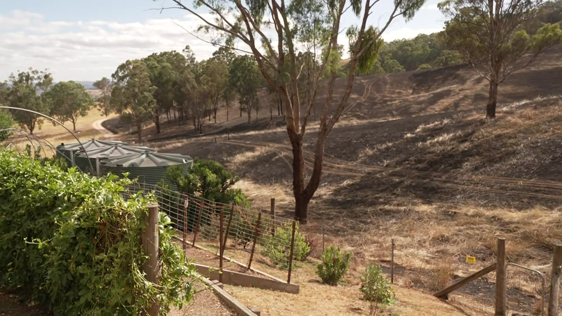 Potreros quemados alrededor de la casa de Irvine.