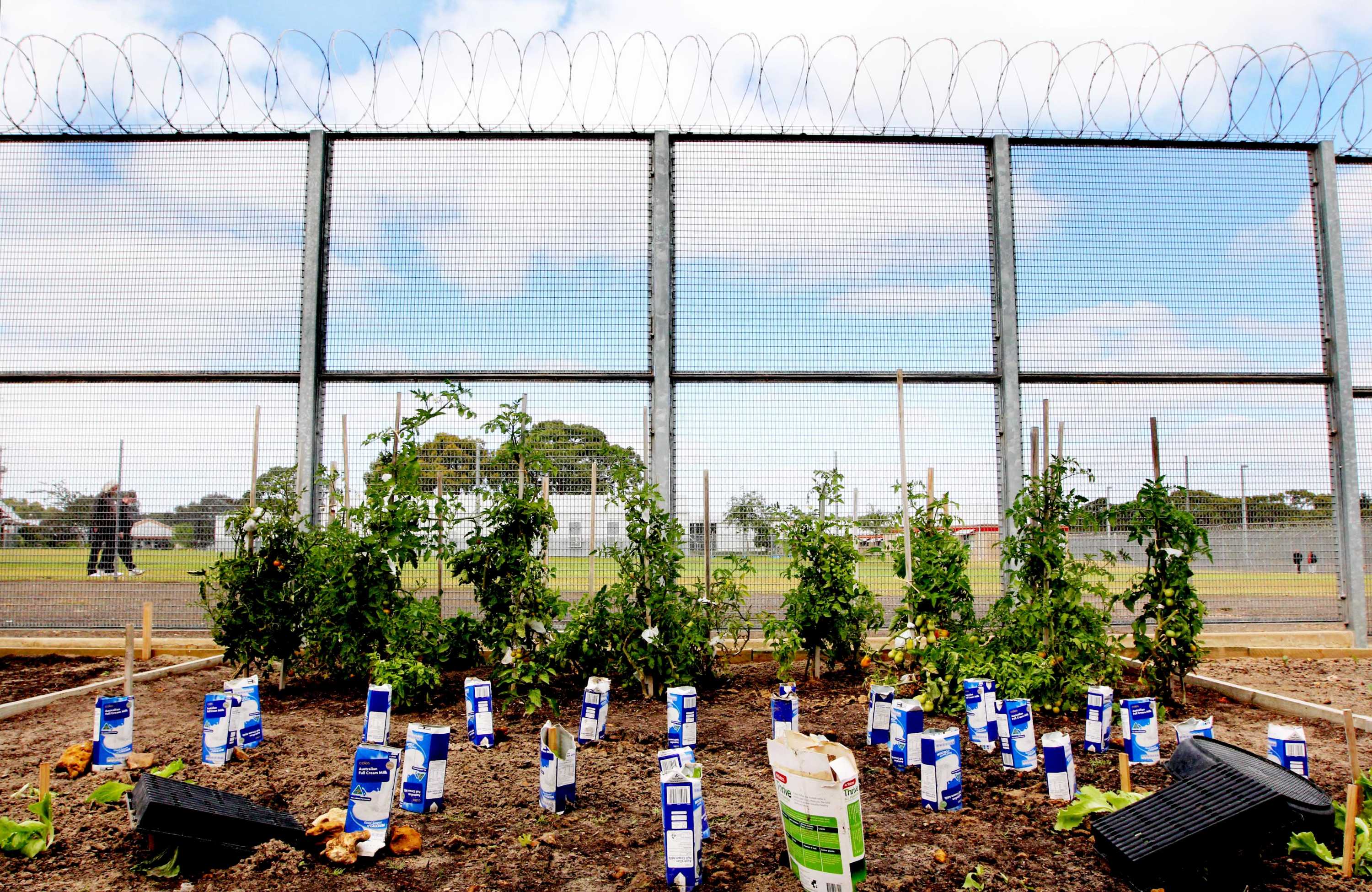 Inside Mt Gambier Prison Education and work in jail ABC News