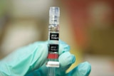 A nurse in California loads a syringe with a hepatitis vaccine.